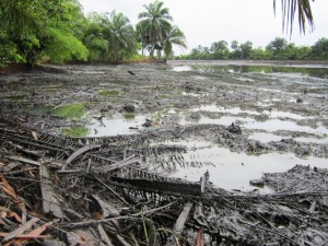Oil pollution in Goi creek - packed