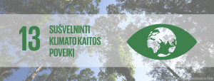 Cover-DVT13