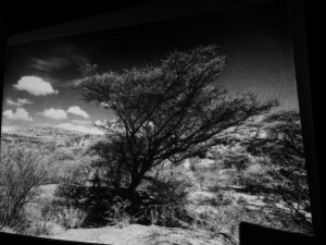 Bertos_upes_T_foto